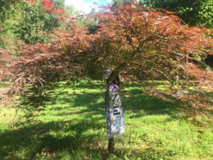 Árbol de Villol en el Jardín del Recuerdo del Pazo do Faramello